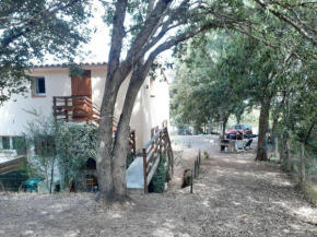 Sous les arbres Mer et Maquis